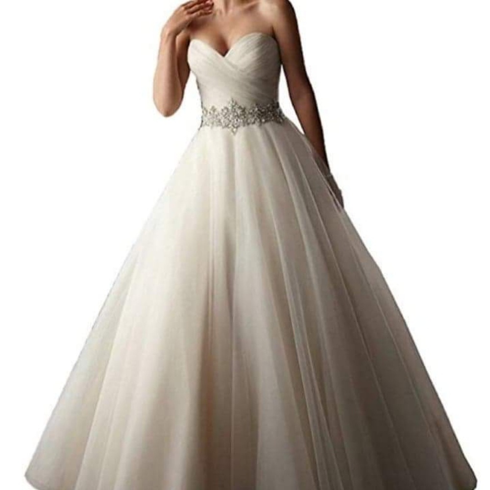 Designer Wedding Dress - Picture 1 of 4